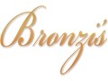 Bronzi's Web Gift Store, Newark - logo
